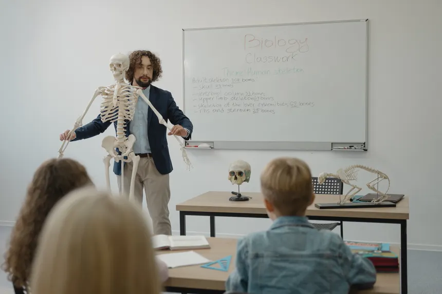 Teacher explaining human skeleton to students in a biology class with models.